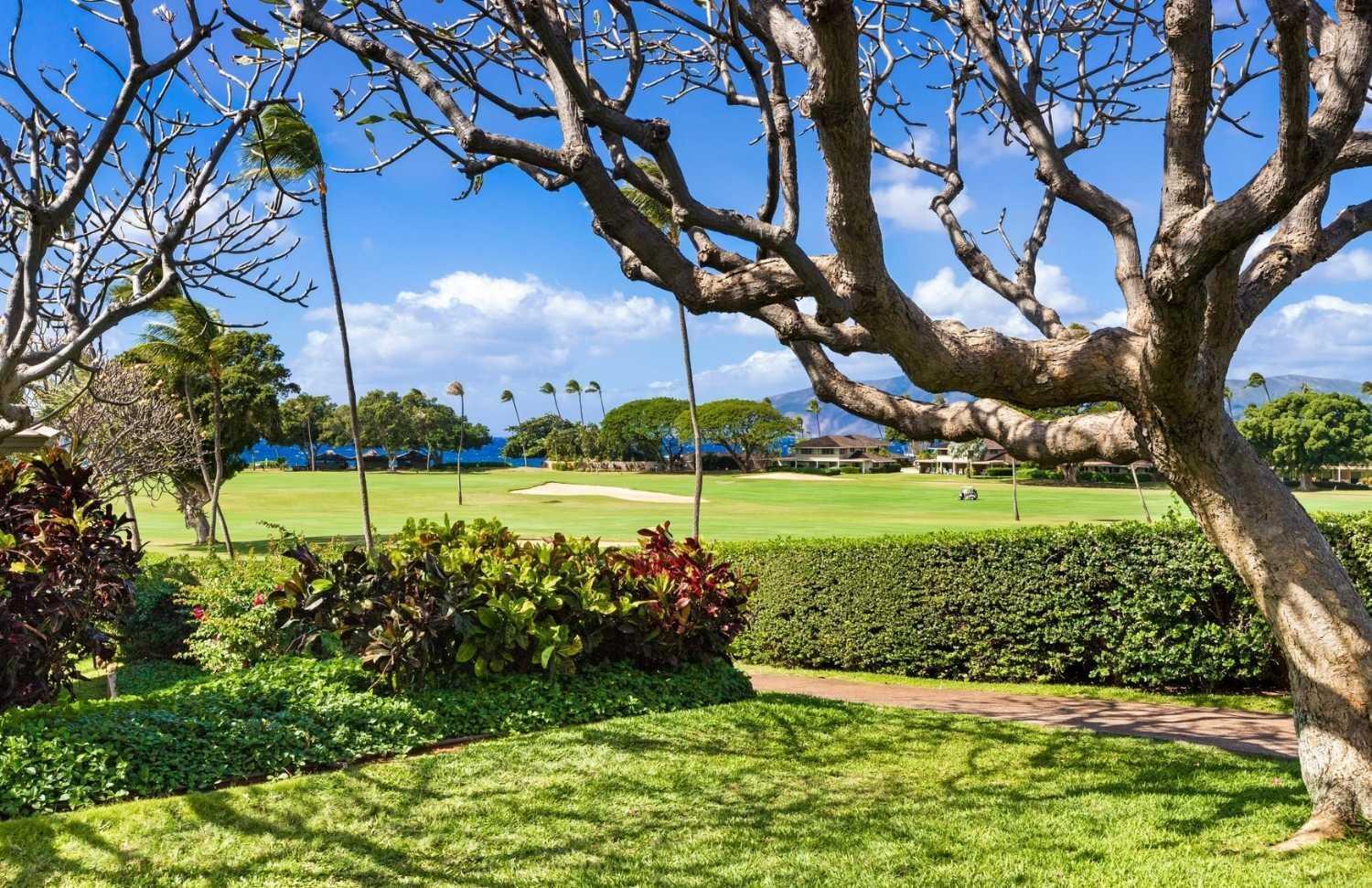 Maui Eldorado - L-105 - Hotel Kahana Buitenkant foto