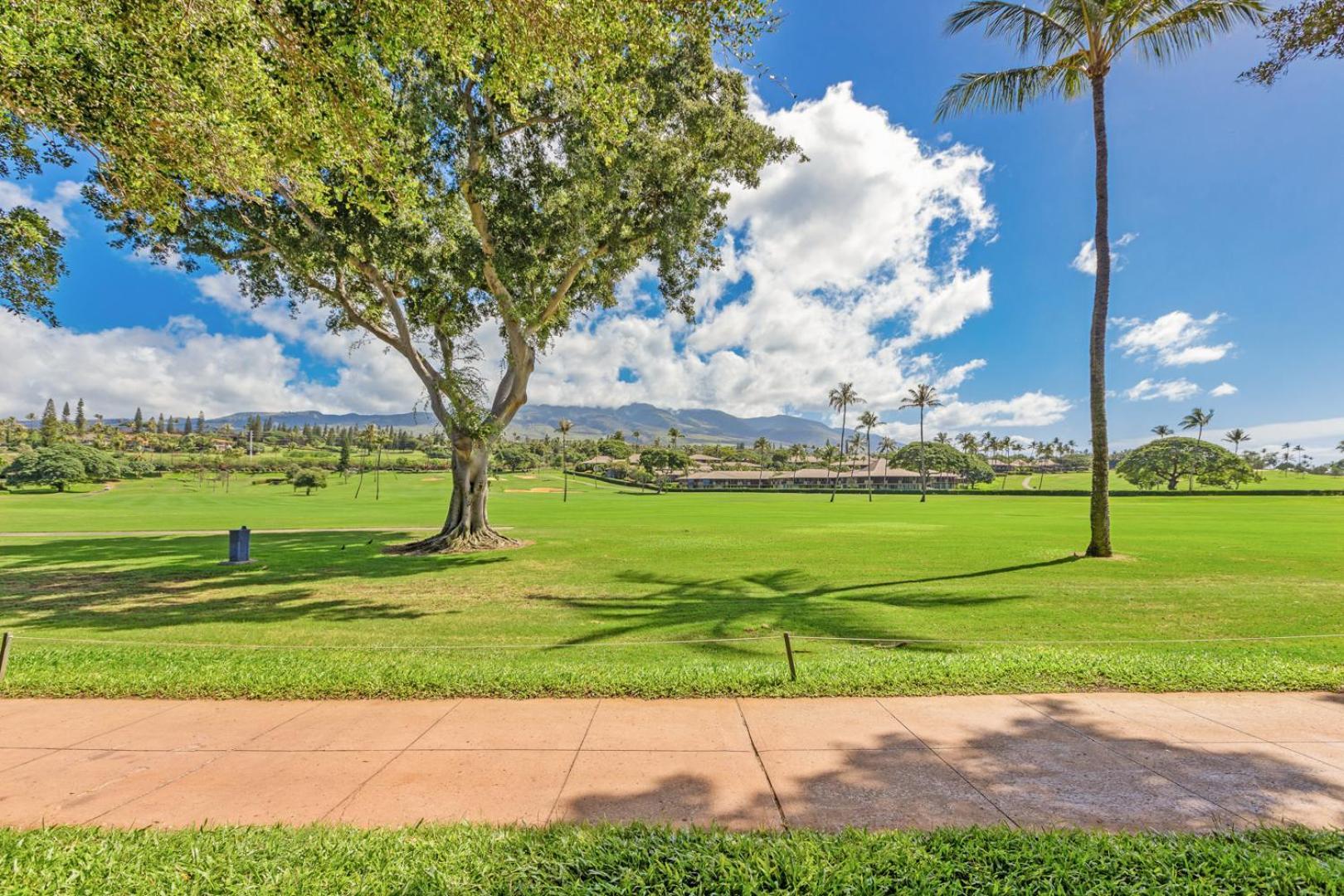 Maui Eldorado - L-105 - Hotel Kahana Buitenkant foto